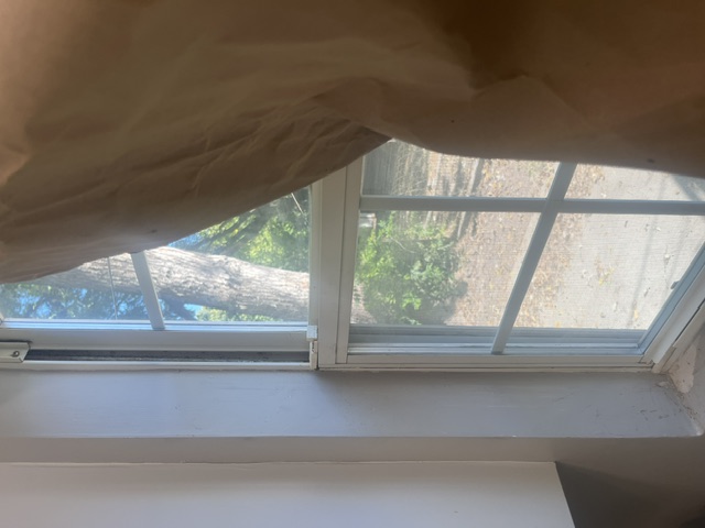 Window